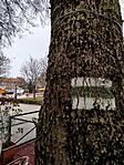 IMG_20251222_114915
