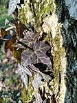 IMG_20251227_114223