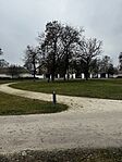 IMG_6037