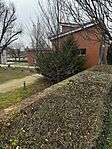 IMG_6036