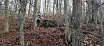 IMG_20251206_131611