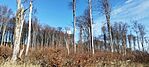 IMG_20251206_115802