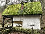 IMG_1914