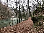 IMG_1922