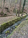 IMG_9110