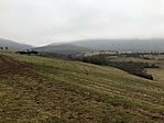IMG_1903