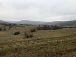 IMG_1904