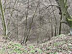 IMG_20251224_095406