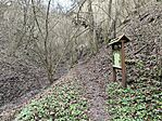 IMG_20251224_095557