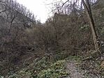IMG_20251224_095727