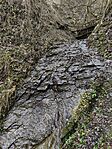 IMG_20251224_095836