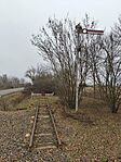 IMG_20251221_132901