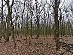 IMG_20251221_123830