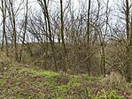 IMG_20251221_104240