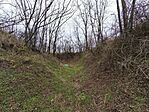 IMG_20251221_104427