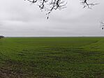IMG_20251221_104557
