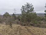 IMG_20251214_120924