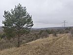 IMG_20251214_120927