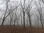 IMG_20251207_123606
