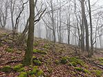 IMG_20251207_130043