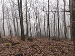 IMG_20251207_130053
