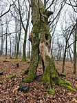 IMG_20251207_134315