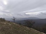 IMG_20251207_114744
