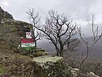 IMG_20251207_115007