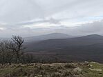 IMG_20251207_115035