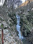 IMG_3866