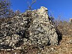 IMG_3907(1)