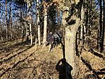 IMG_3908(1)