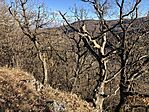 IMG_3911(1)