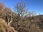 IMG_3912(1)