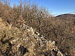 IMG_3916(1)