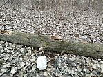 IMG_20251225_114334