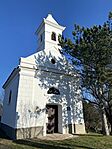 IMG_1281