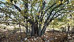 20251022_151934-OK