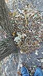 20251104_144925-OK