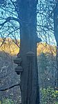 20251104_150638-OK