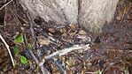 20251205_213803-OK