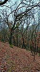 IMG_20251216_143958984_HDR