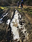 IMG_20251228_113324