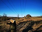IMG_20251228_113810