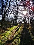 IMG_20251228_115007