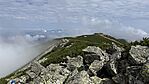 IMG_5305