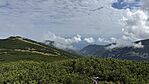IMG_5303
