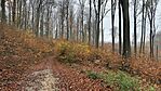 IMG_8852