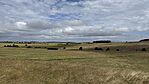 IMG_6168