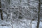 DSC01788